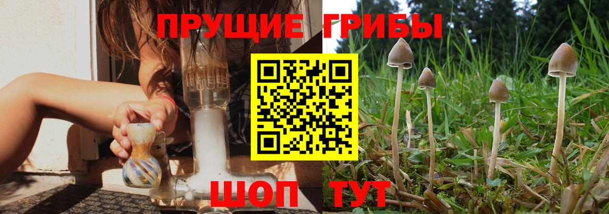 Саранск  Псилоцибиновые грибы мухоморы  Вход с VPN 